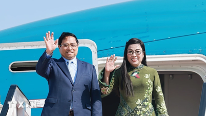 Премьер-министр Фам Минь Чинь и его супруга начинают официальный визит в Алжир