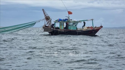 মৎস্য খাতে কিছু প্রশাসনিক লঙ্ঘনের জন্য জরিমানা বৃদ্ধির সংশোধনী।