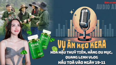 Аудіо: Сьогодні пані Туї Тьєн, Хан Ду Мук, Куанг Лінь Влог з'явилися до суду