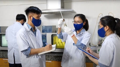 Tay Ninh: Do 2030 roku dążyć do tego, aby na 10 000 osób przypadało 12 badaczy naukowych i co najmniej 40 przedsiębiorstw high-tech