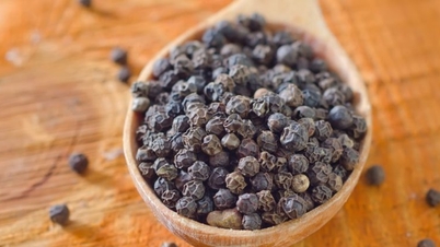 Los precios de la pimienta aumentaron hoy, 19 de noviembre de 2025, simultáneamente en muchas regiones; los agricultores esperan nuevas señales del mercado estadounidense.