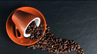 Harga kopi hari ini 19 November 2025: Kenaikan mendadak akibat hujan yang berpanjangan