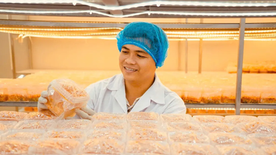 A fiatalság ihletet ad a kreativitásnak