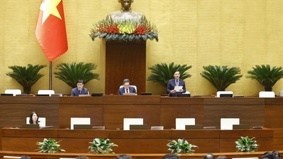 ১৯ নভেম্বর, জাতীয় পরিষদ ভূমি আইন বাস্তবায়নের ক্ষেত্রে বাধা অপসারণের বিষয়ে আলোচনা অব্যাহত রাখে।