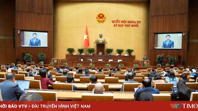 19 नवंबर को नेशनल असेंबली ने व्यक्तिगत आयकर (संशोधित) पर कानून के मसौदे पर चर्चा की।