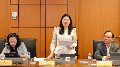 Hoje (19 de novembro), a Assembleia Nacional debateu em grupos o Projeto do Aeroporto Internacional de Gia Binh.