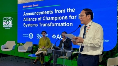 Le Vietnam rejoint l'Alliance des pays pionniers dans la transformation des systèmes alimentaires