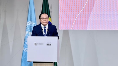 Le Cong Thanh 부장관이 COP30 회의에서 연설합니다.
