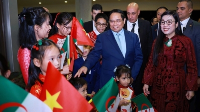 نخست وزیر فام مین چین با جامعه ویتنامی ها در الجزایر دیدار کرد