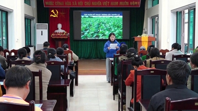 45 hộ nông dân được tập huấn kỹ thuật trồng và chăm sóc cây thuốc lá niên vụ 2025 - 2026 - Báo Cao Bằng điện tử