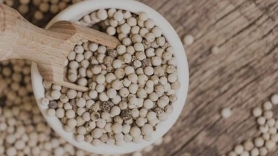 Giá tiêu hôm nay 19/11/2025: Tiếp tục đà tăng nhẹ