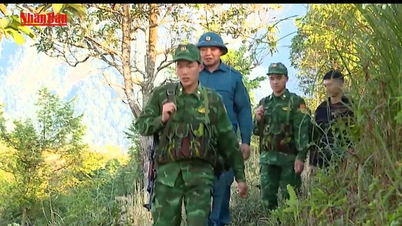 [ویدئو] تقویت پیشگیری از جرم درست در دروازه مرزی