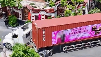 ホーチミン市のマイリサさんの夫の会社の製品の事後検査：中国製、安全性評価が不足