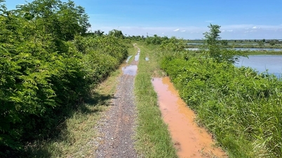 Accelerarea lucrărilor de construcție și reparare a digurilor