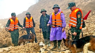 Thời tiết hôm nay 19/11: Bắc Bộ rét căm căm, Trung Bộ mưa dầm