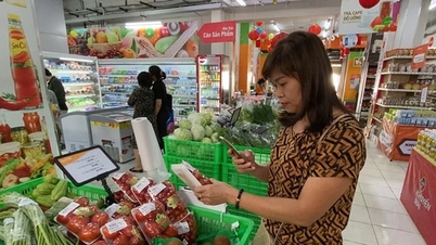 Az áruk eredetének nyomon követése: Pajzs a piac védelmére