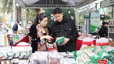 Näringslivet främjar socioekonomisk utveckling