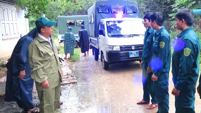 Comuna Van Ninh a evacuat în mod proactiv 5 gospodării din zonele vulnerabile către adăposturi sigure.