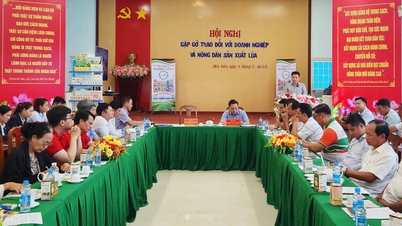 Коммуна Хоа Дьен организует кофейную программу с фермерами