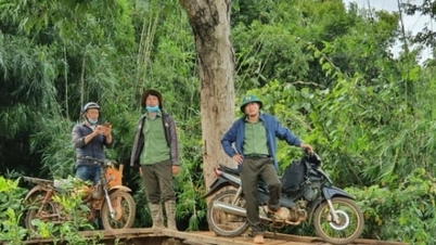 اعتبار کربن جنگل - پتانسیل عالی