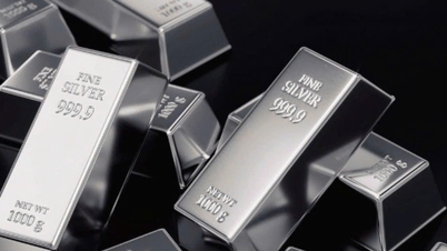 سعر الفضة 19 نوفمبر: انخفض السعر المحلي قليلاً، وظل السعر العالمي فوق 50 دولارًا أمريكيًا