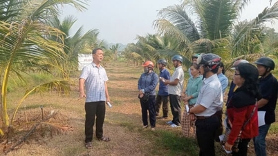 تعاونی‌های کشاورزی کارکنان خود را جوان‌سازی و عملیات را دیجیتالی می‌کنند