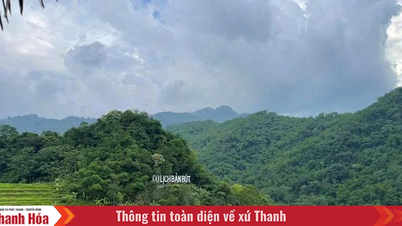 El desarrollo económico verde está asociado a la mejora de los ingresos de la población.