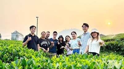 اعداد را به هم وصل می‌کند، عطر چای را پخش می‌کند