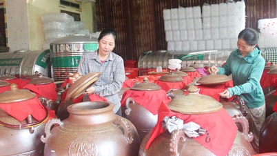 Die Bauern von Son Dong entwickeln aktiv die Wirtschaft und streben danach, der Armut nachhaltig zu entkommen.