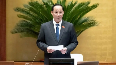 Förslag om att användare med kunskaper i ett sällsynt främmande språk ska få stöd med 300 % av lönen.