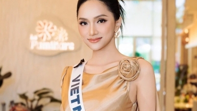 Miss Univers nie toute manipulation de match et critique l'ignorance des juges.