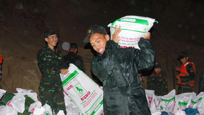 Mer än 500 officerare och soldater från militärregion 5 arbetade över natten med att förstärka An Luong-vallen.