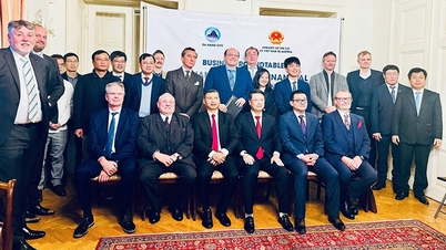 Da Nang prioritizează cooperarea financiară și de înaltă tehnologie cu Austria