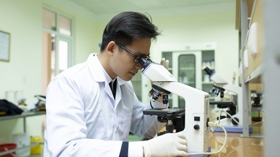 Kegiatan penelitian ilmiah sedang dipromosikan oleh universitas-universitas di Hai Phong untuk menciptakan sumber daya manusia berkualitas tinggi bagi pembangunan kota.