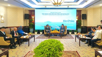 İl Halk Komitesi Başkan Yardımcısı Huynh Chi Nguyen, Malezya'nın Ho Chi Minh Şehri Başkonsolosunu kabul etti