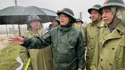 উপ-প্রধানমন্ত্রী হো কোওক ডাং: একই দিনে অবিলম্বে লোকজনকে সরিয়ে নিন, কোনও মানুষের হতাহতের ঘটনা ঘটতে দেবেন না।