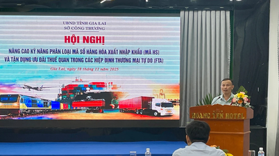 Gia Lai: Aprimorando as habilidades na classificação de códigos de mercadorias de importação e exportação para empresas