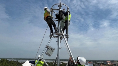 Винь Лонг ускоряет развитие инфраструктуры и популяризирует цифровые продукты