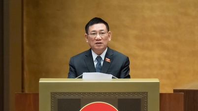 Javaslat különleges megbízott ideiglenes kinevezésére