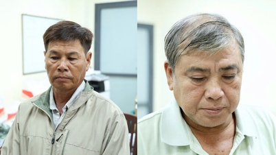 An Giang: 6 subiecți au fost reținuți temporar pentru fraudă și însușire de bunuri.