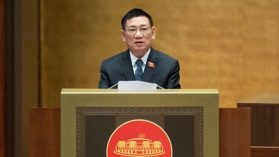 Đề xuất Chủ tịch nước, Thủ tướng bổ nhiệm có thời hạn chức danh đặc phái viên