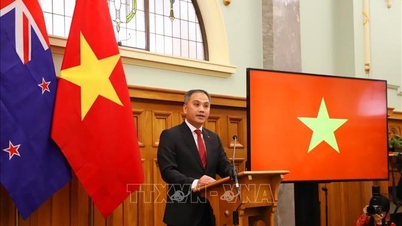 Рушійна сила для Всеохоплюючого стратегічного партнерства В'єтнаму та Нової Зеландії