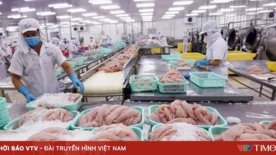 Se prevé que las exportaciones de productos del mar para todo el año alcancen los 10.500 millones de dólares.