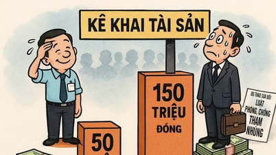 Avoid declaring assets