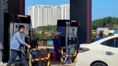 Прогнозується, що ціни на бензин продовжать незначне зростання.