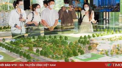 ২০ নভেম্বর থেকে, রিয়েল এস্টেট ব্রোকারেজ সার্টিফিকেটের জন্য নতুন ফি প্রযোজ্য হবে