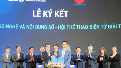 Spielauswahl und doppelte Ziele für vietnamesischen E-Sport bei den SEAGames 33