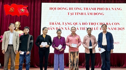 자연재해 속 동포들의 연대