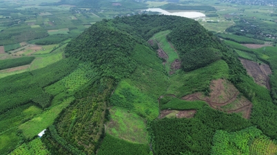 Di sản địa chất xứ hoa vàng trên cỏ xanh đánh thức ta trở về