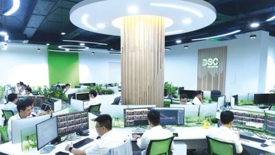 DSC Securities ໄດ້ຖືກເຕືອນໂດຍ HoSE